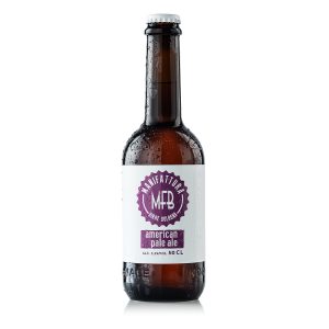Birra artigianale American Pale Ale 50cl